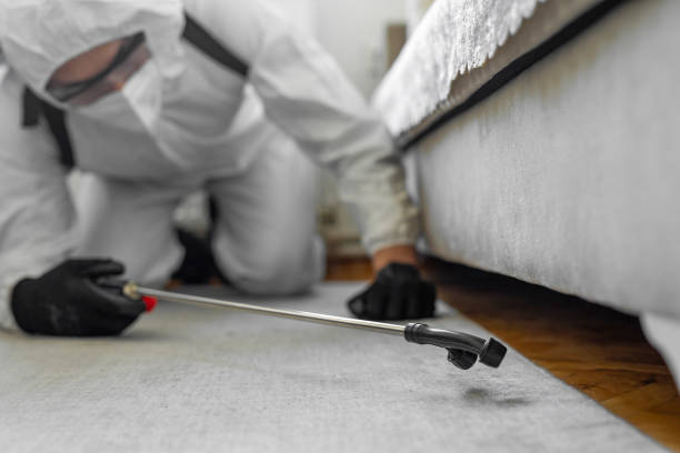 Professional Termite Control technician working in Experiment, GA