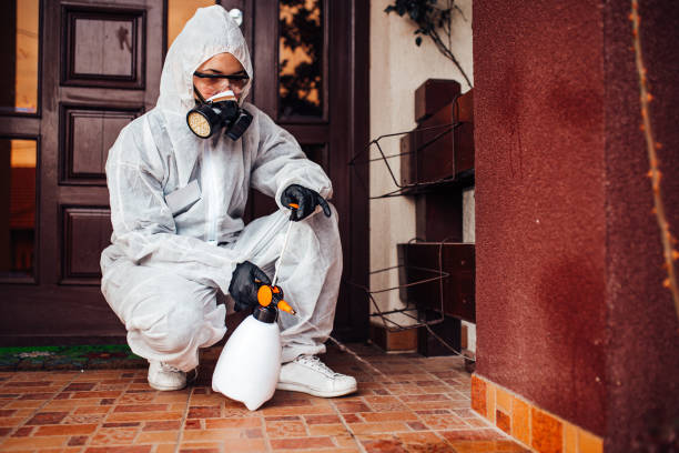 Reliable Termite Control contractor in Experiment, GA by Nex Pest Control